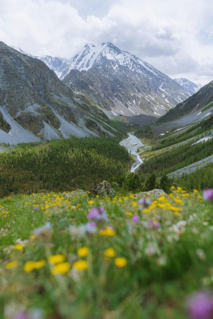 Valley of Flowers-Uttrakhand-India