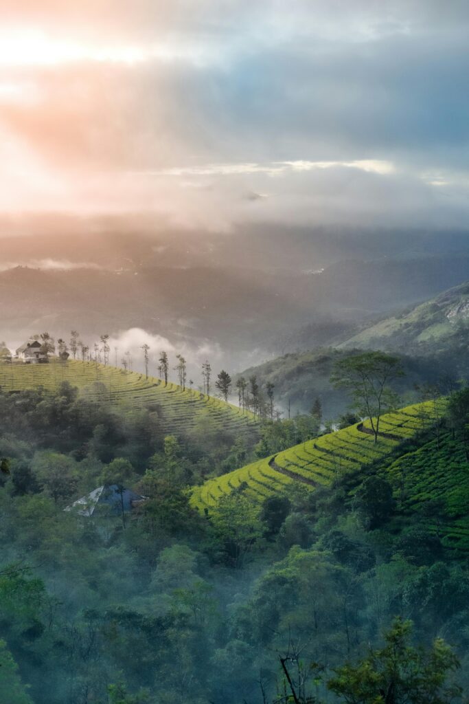 Vagamon – Kerala