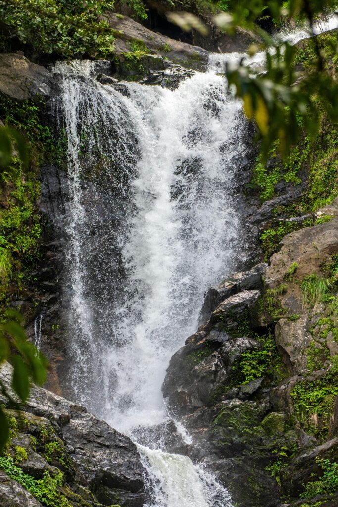 Wayanad – Kerala