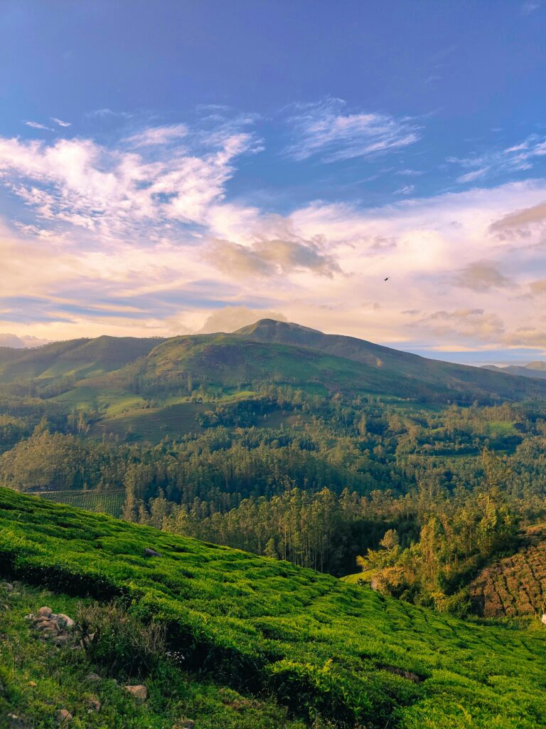 mountain in Munnar, Kerela, India