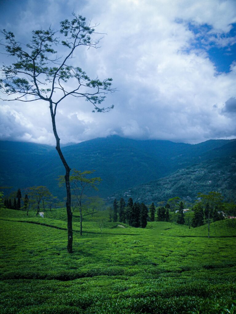 Darjeeling – West Bengal